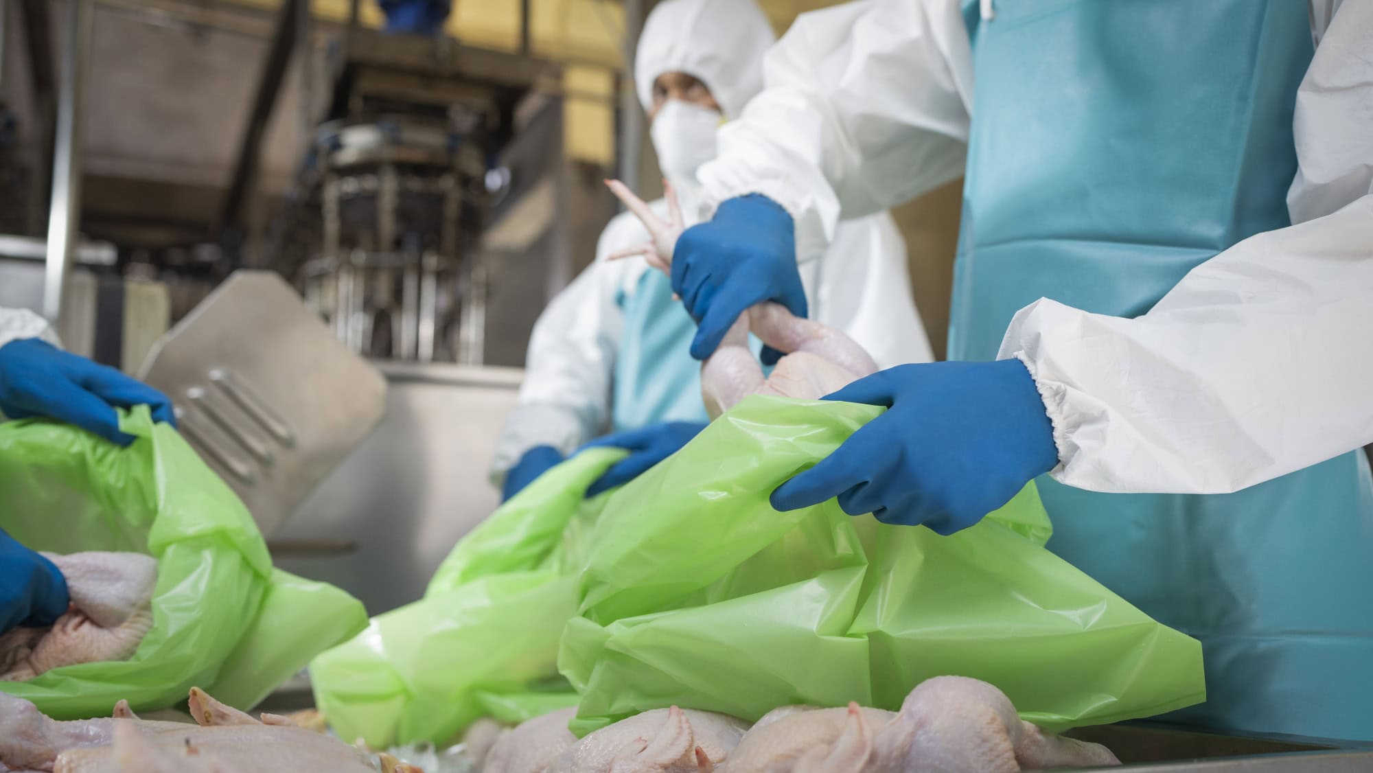 Ansell AlphaTec™ 88-356 Chemikalienschutzhandschuh 88356090BP, Für Lebensmittelverarbeitung und Chemikalienhandling, Größe 9, Blau, 305 mm lang, Mit verbesserte Griffigkeit und Fingerfertigkeit